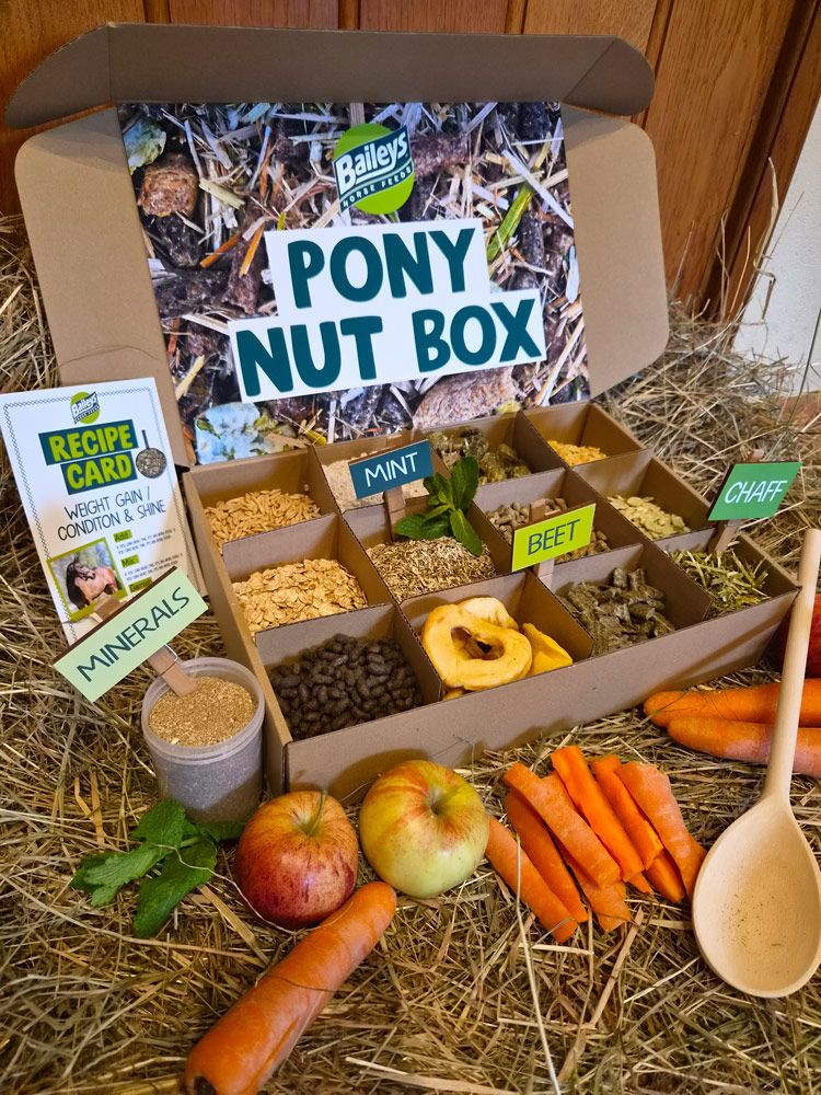 Baileys PonyNut Box